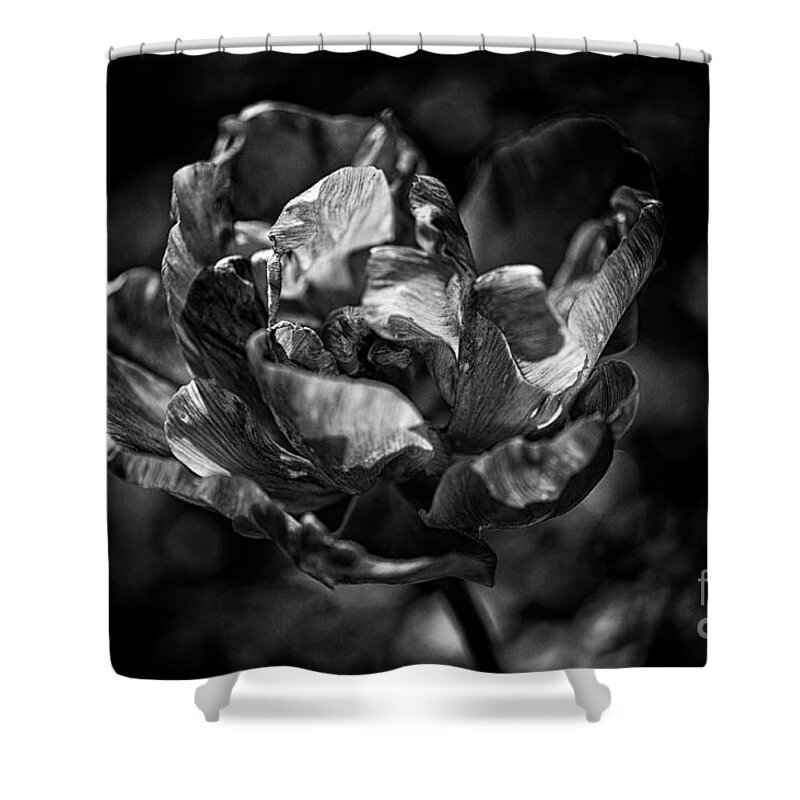 Beautiful Shower Curtain featuring the photograph Unfurled by Venetta Archer