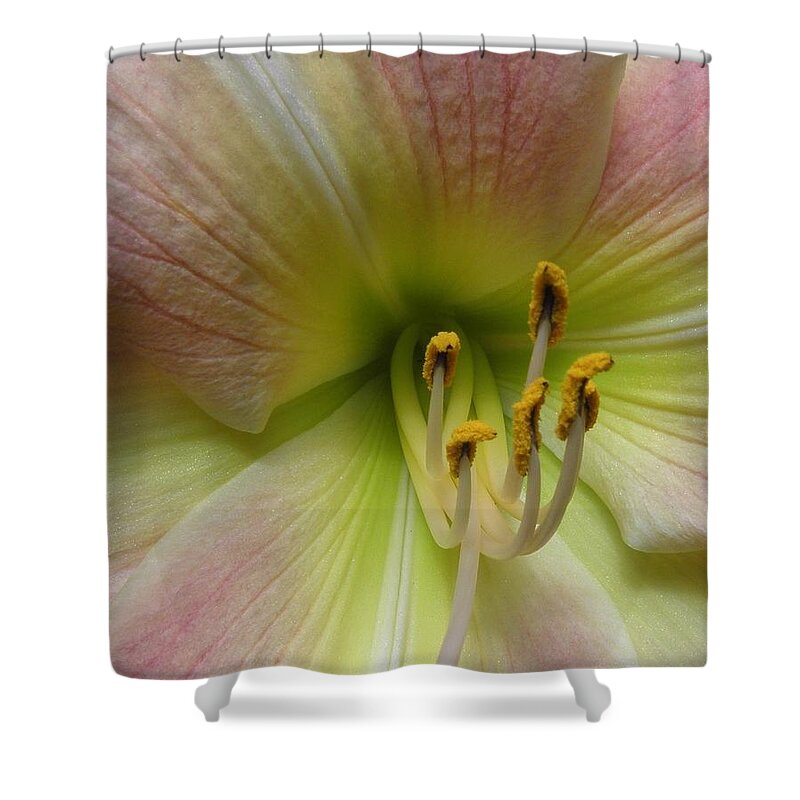 Lily Shower Curtain featuring the photograph Up Close And Personal Beauty by Kim Galluzzo Wozniak
