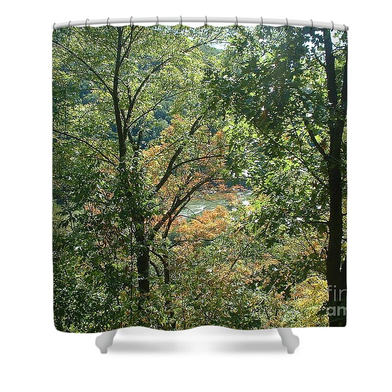 Virginia Shower Curtain featuring the photograph Virginia Walk in the Woods by Mark Robbins
