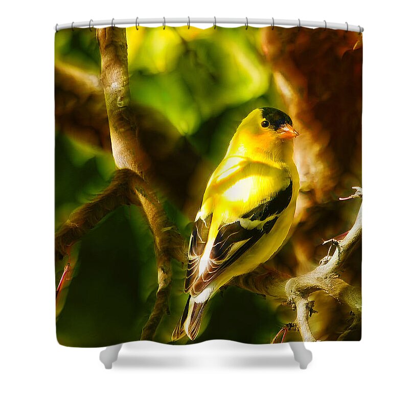 Bird Shower Curtain featuring the photograph Visions of a Male Goldfinch by Bill and Linda Tiepelman