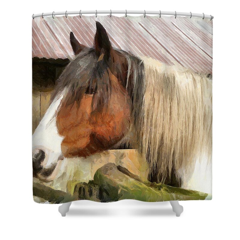 Horse Shower Curtain featuring the photograph Waiting for a stroke by Steve Taylor