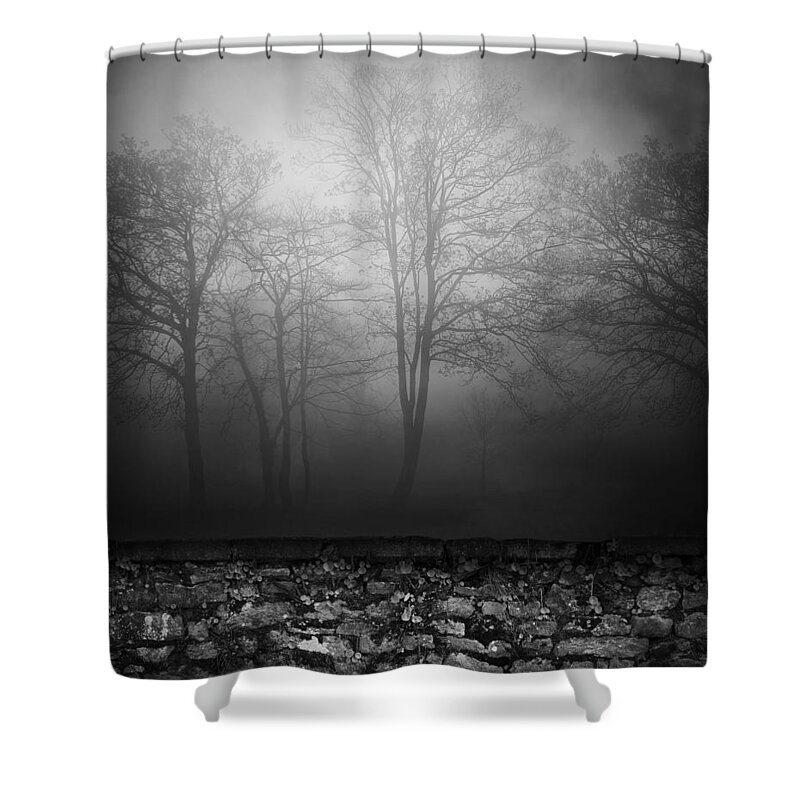 Jerry Cordeiro Shower Curtain featuring the photograph Wall Of Sisters by J C