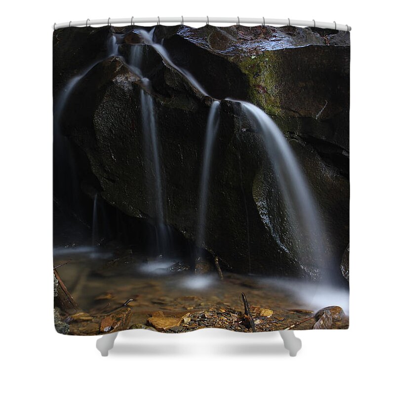 Water Shower Curtain featuring the photograph Waterfall On Emory Gap Branch by Daniel Reed