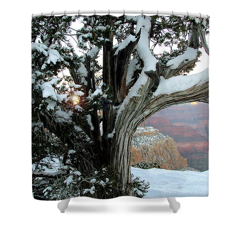 Grand Canyon Shower Curtain featuring the photograph Weather Worn by Judy Wanamaker