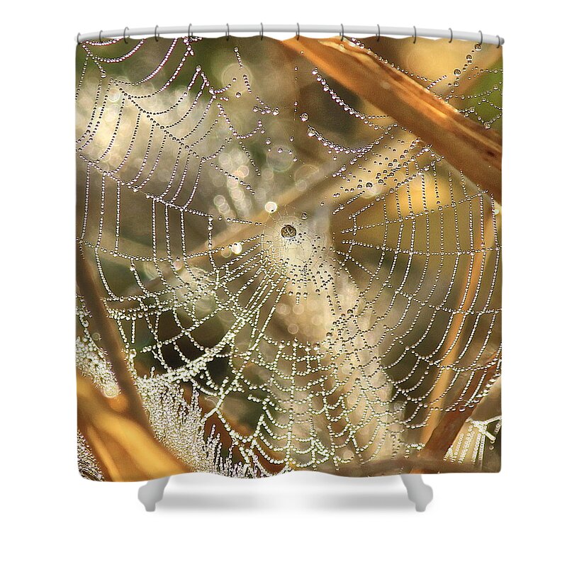 Web Shower Curtain featuring the photograph Web of Jewels by Penny Meyers