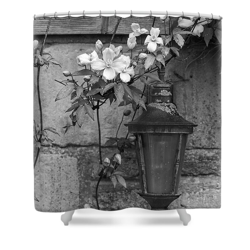 Clare Bambers Shower Curtain featuring the photograph Welcome home by Clare Bambers