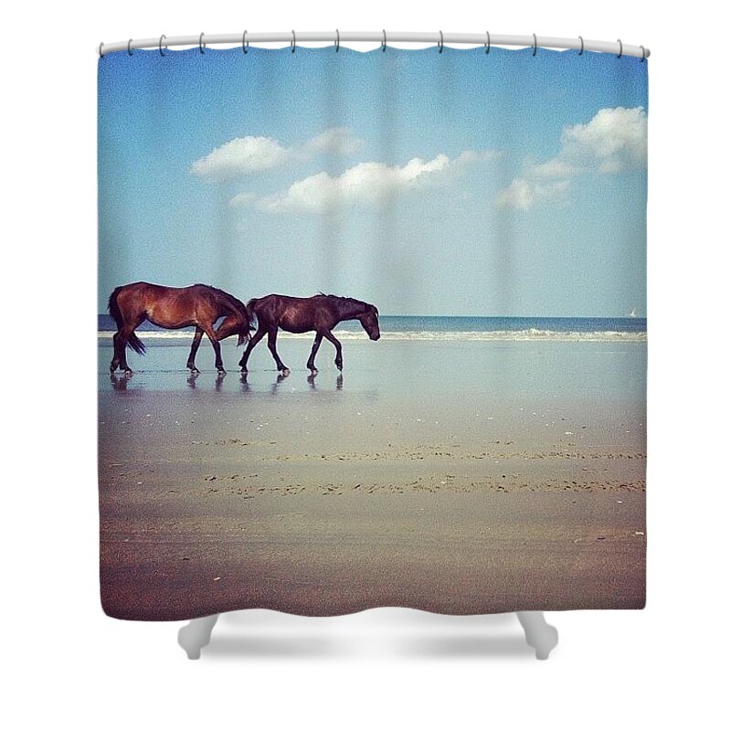 Wild Horses Shower Curtains