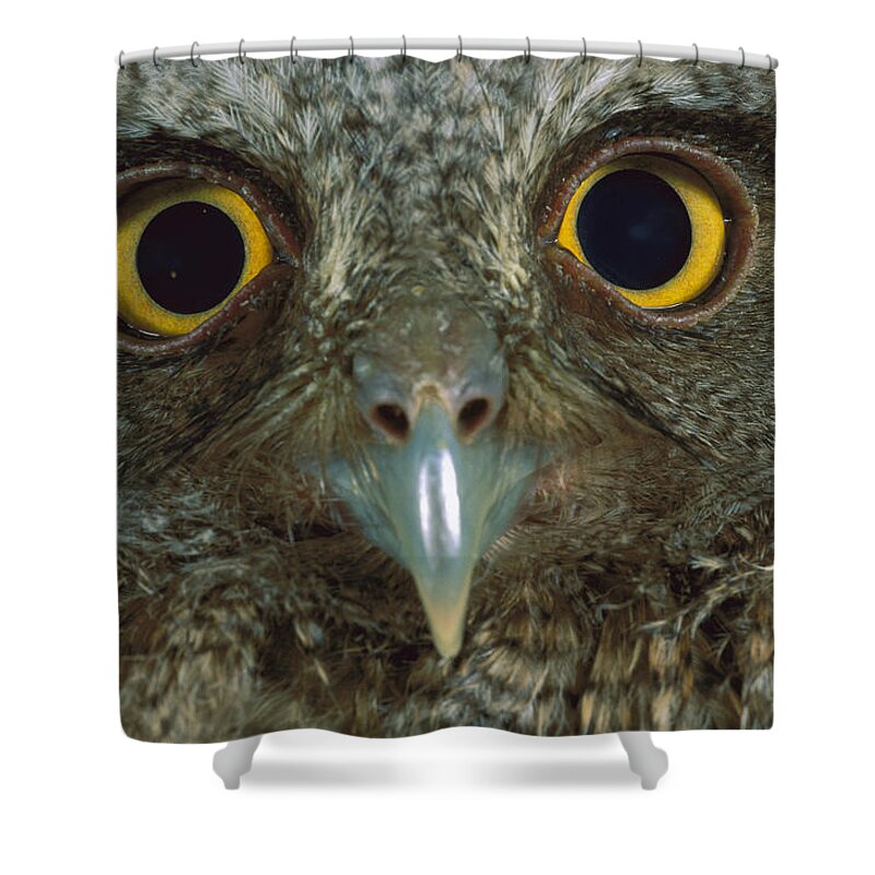 00760060 Shower Curtain featuring the photograph Western Screech Owl Otus Kennicottii by Christian Ziegler