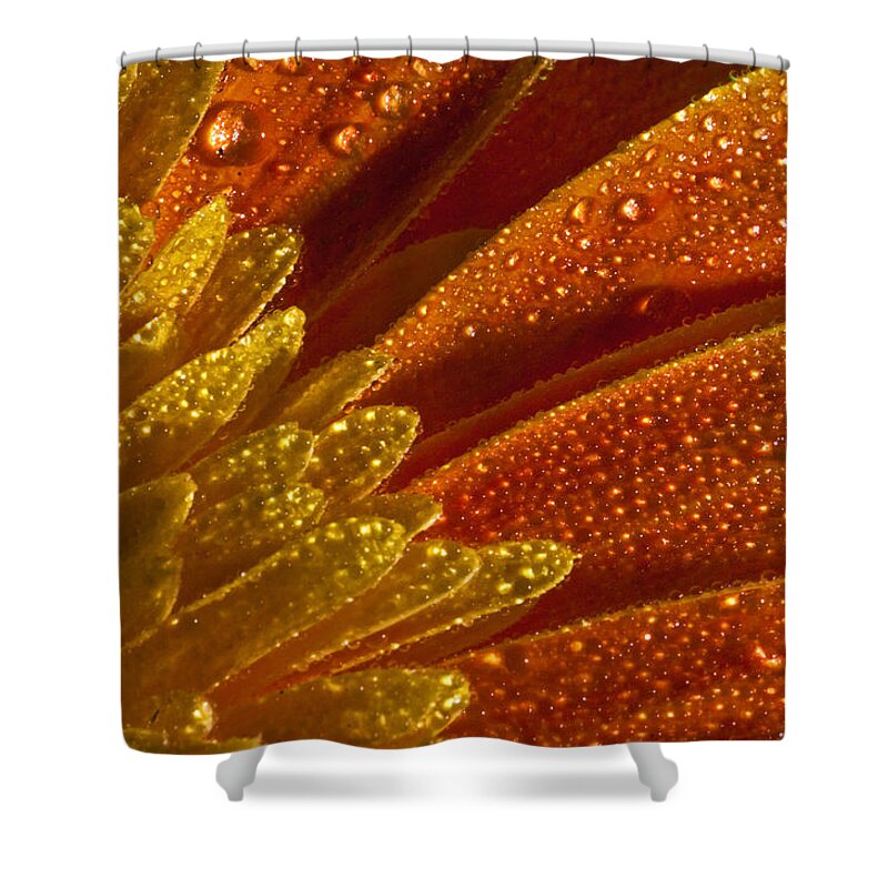 Abstract Shower Curtain featuring the photograph Wet blumen by Nathan Wright