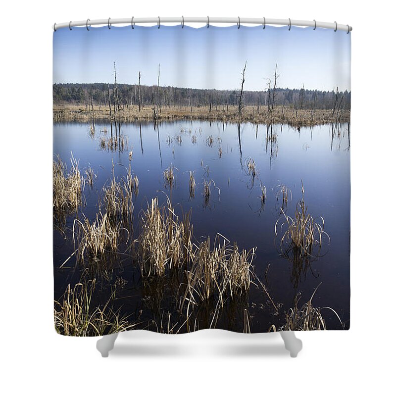 Bog Shower Curtain featuring the photograph Wetland Schwenninger Moos by Matthias Hauser