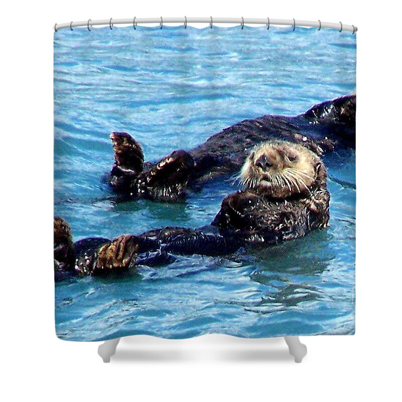 Sea Otters Shower Curtain featuring the photograph Whatchu Looking At by Kathy White