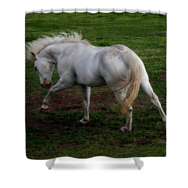 Horse Shower Curtain featuring the photograph White Cloud by Karen Harrison Brown