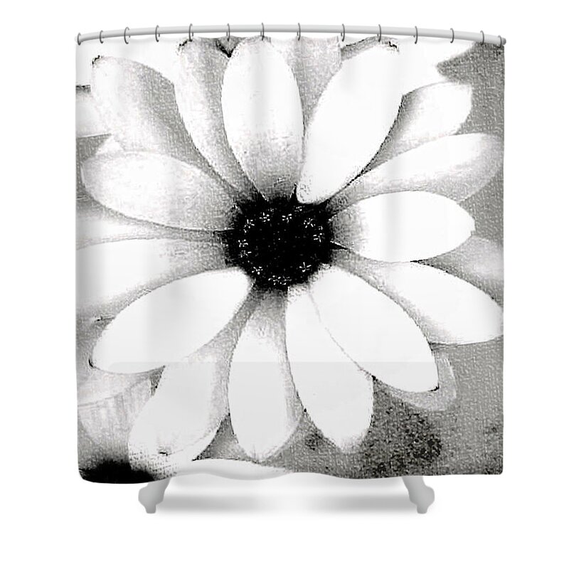 Daisy Shower Curtain featuring the photograph White Daisy by Tammy Espino