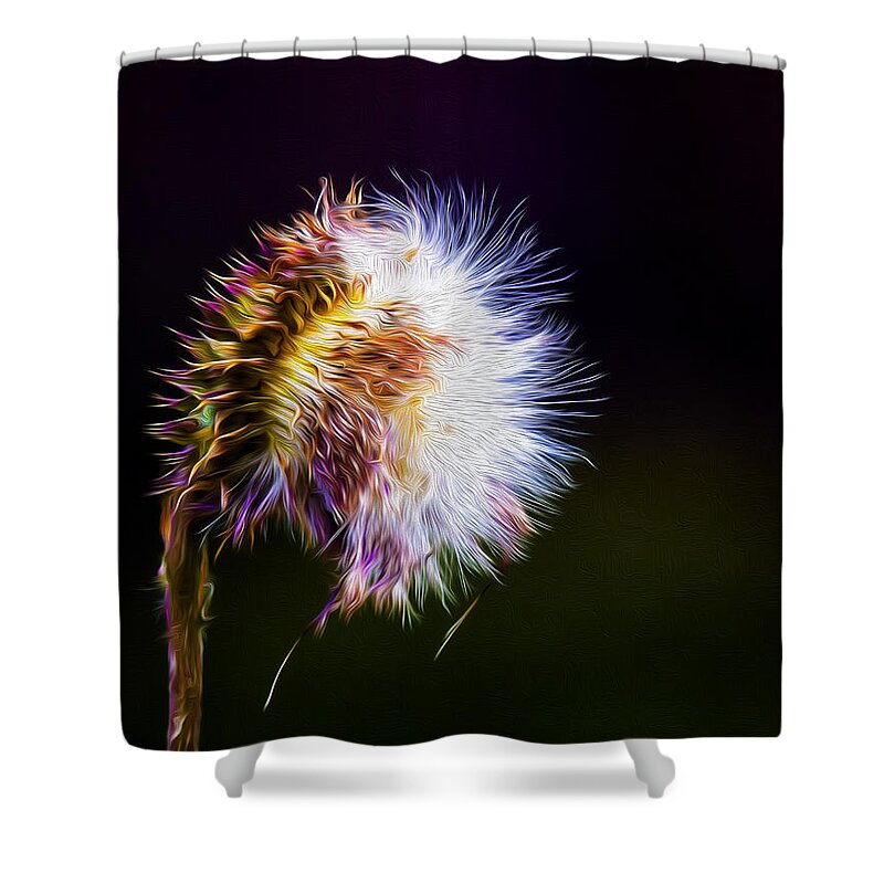Weed Shower Curtain featuring the photograph Wicked Weed on Black by Bill and Linda Tiepelman