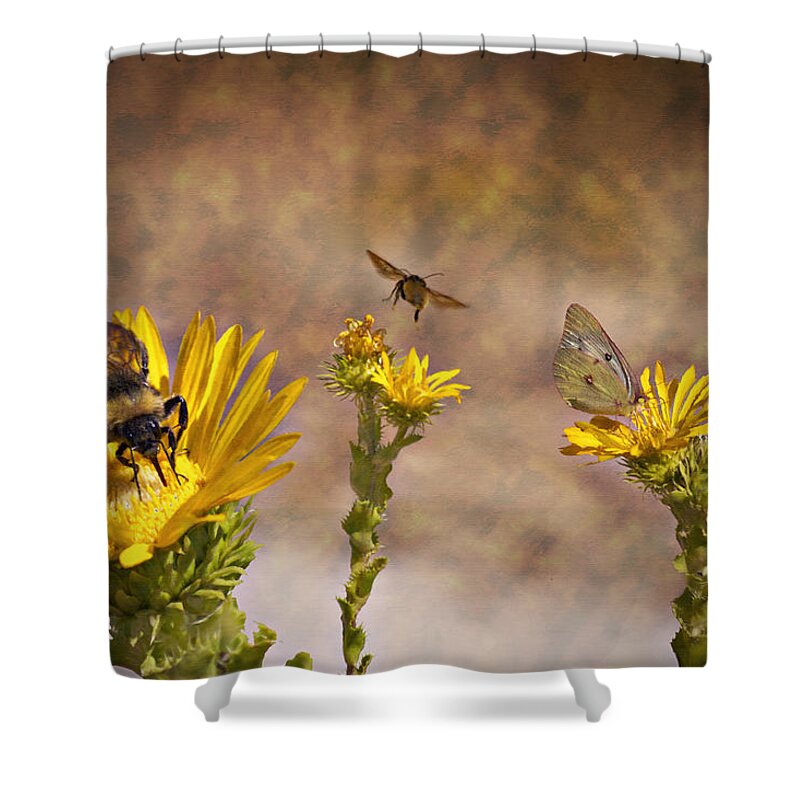 Butterfly Shower Curtain featuring the photograph Wild Flower Garden by Douglas Barnard