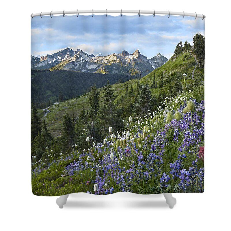 00437811 Shower Curtain featuring the photograph Wildflowers And Tatoosh Range Mount by Tim Fitzharris