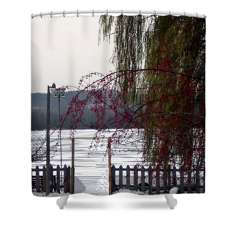 Winter Shower Curtain featuring the photograph Willows and Berries in Winter by Desiree Paquette