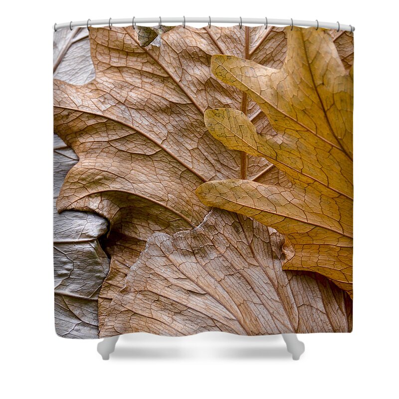 Botanical Shower Curtain featuring the photograph Autumn Leaves of Gold by Carolyn Marshall