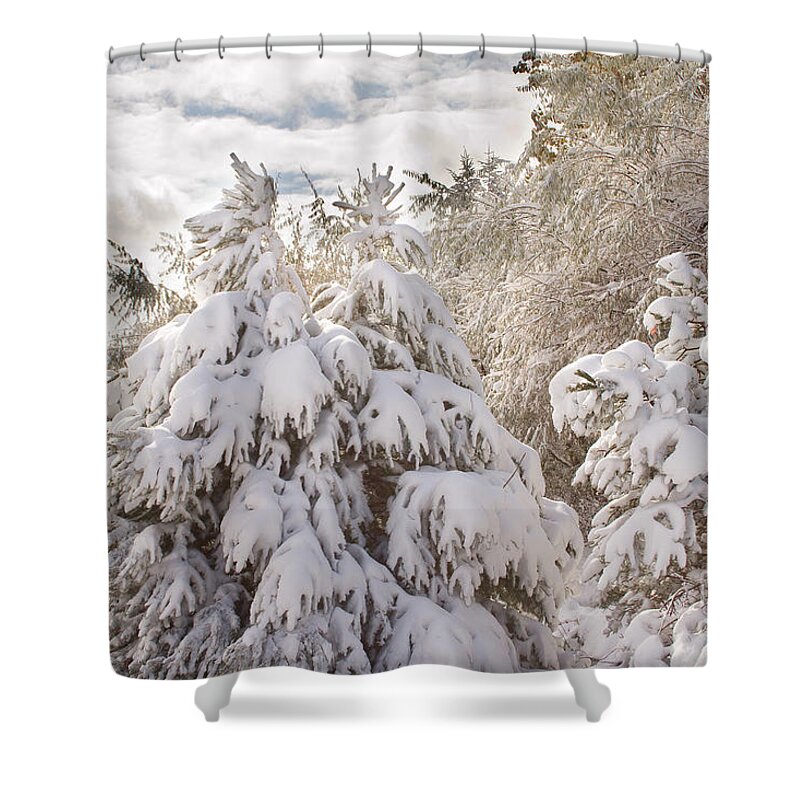 Winter Shower Curtain featuring the photograph Winter Wonderland by James BO Insogna