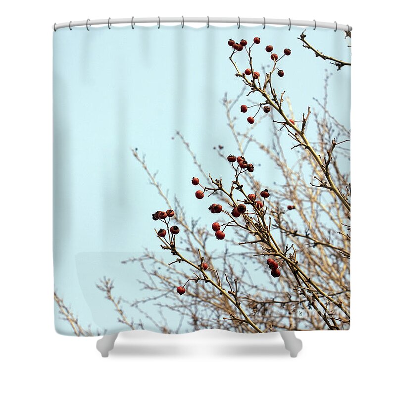 Blue Shower Curtain featuring the photograph Winter's end by Cindy Garber Iverson