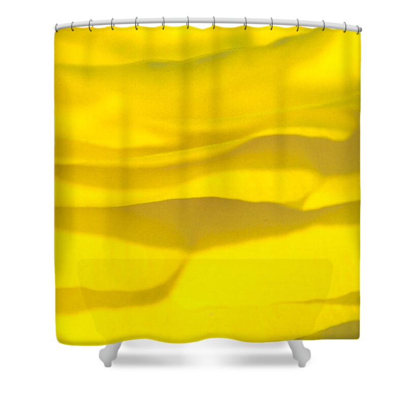 Buttercup Shower Curtain featuring the photograph Yellow Petals by Patrick Kessler