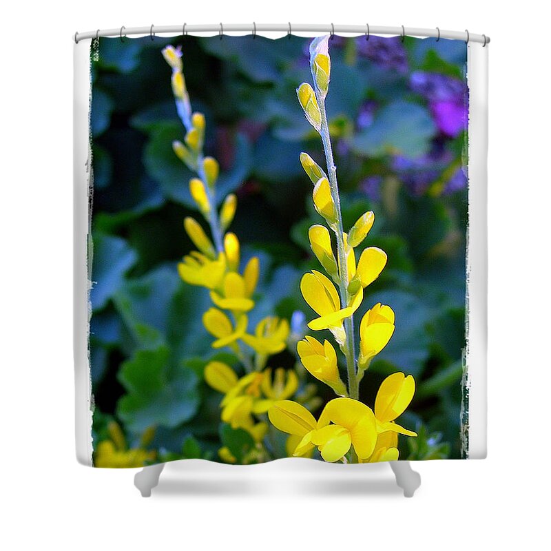 Yellow Shower Curtain featuring the photograph Yellow Plumes by Judi Bagwell