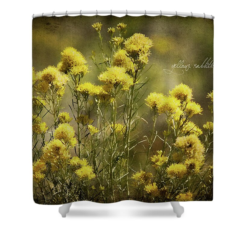 chrysothamnus Viscidiflorus Shower Curtain featuring the photograph Yellow Rabbitbrush by Lana Trussell