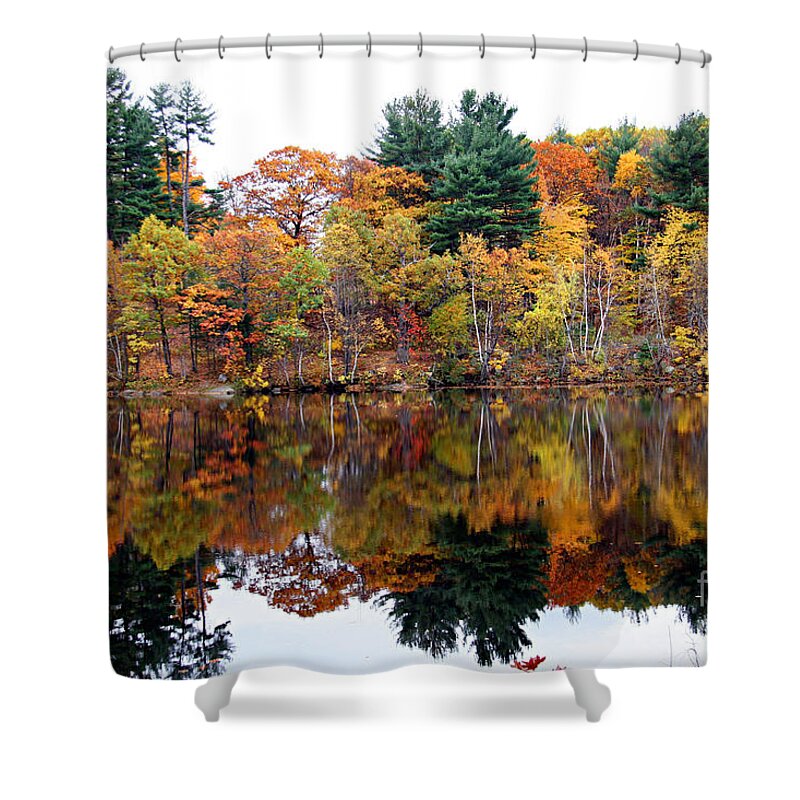 Fall Foliage Shower Curtain featuring the photograph Yellows Dream by Brenda Giasson