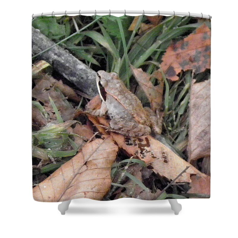 Frog Shower Curtain featuring the photograph yes I blend by Kim Galluzzo Wozniak