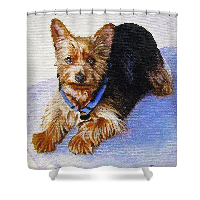 Yorkie Shower Curtain featuring the painting Yorkie by Jimmie Bartlett