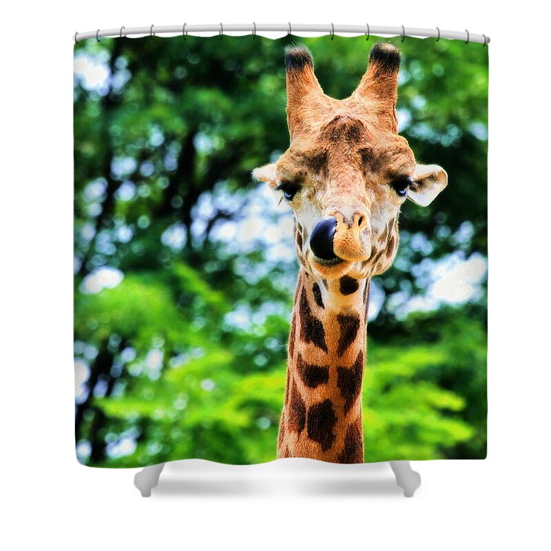 Masai Giraffe Shower Curtain featuring the photograph Yum Sllllllurrrp by Angela Rath