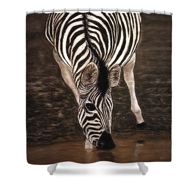 Zebra Shower Curtain featuring the painting Zebra by Karen Zuk Rosenblatt