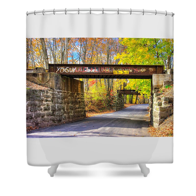 Railroad Shower Curtain featuring the photograph ... And The Steel Rails Still Ain't Heard the News No. 4 - Near Rupert, Columbia County PA by Michael Mazaika