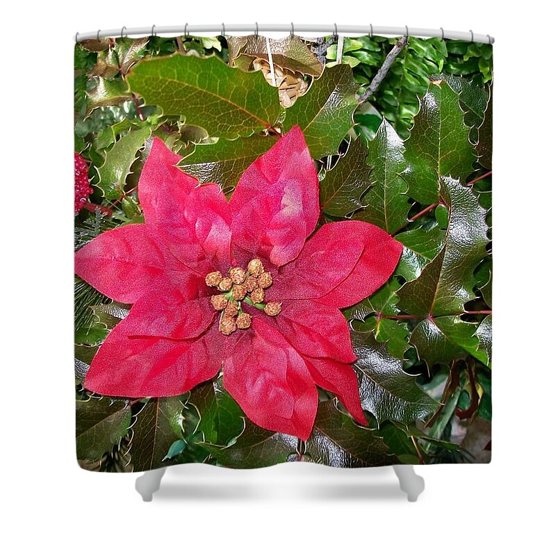 Oregon Shower Curtain featuring the photograph Christmas Poinsettia by Sharon Duguay