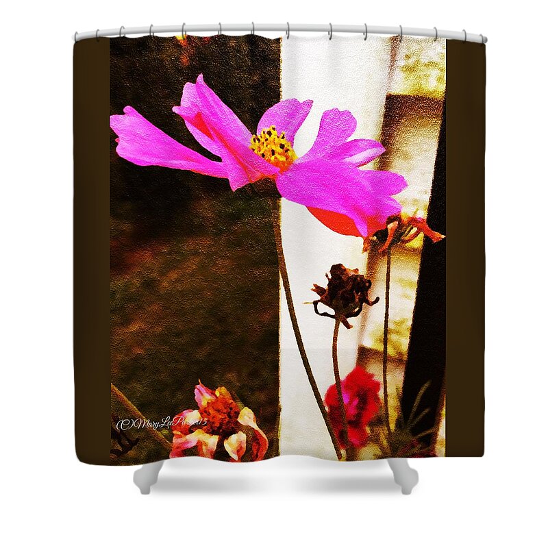 Cosmo Shower Curtain featuring the painting Cosmo dancing by MaryLee Parker