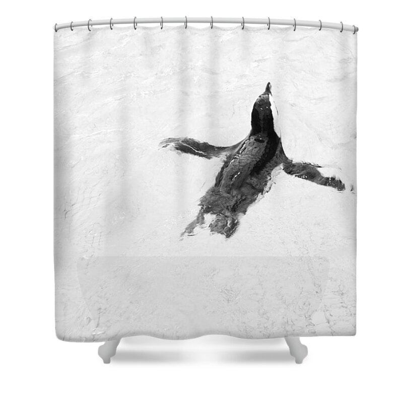 Swim Shower Curtain featuring the photograph He fly The sea. by Elinor