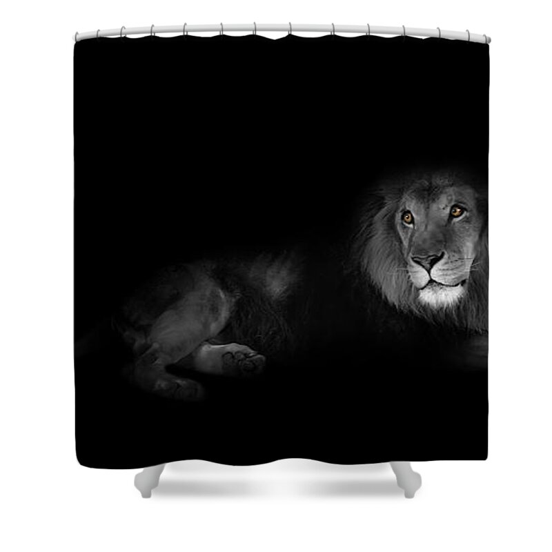 Lion Shower Curtain featuring the photograph Lion Portrait by Olga Hamilton