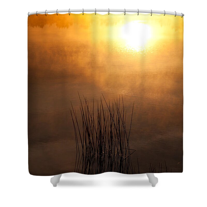 Misty Lake Shower Curtain featuring the photograph Mist and Lake Reeds at Sunrise by Irwin Barrett