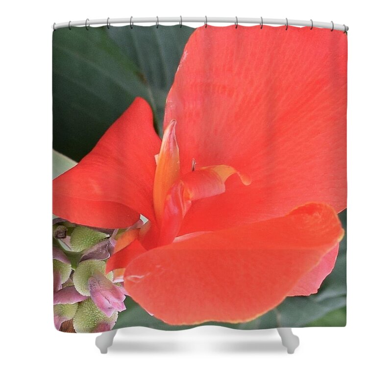 Flower Shower Curtain featuring the photograph Tropical Flower by Evelia Galindo