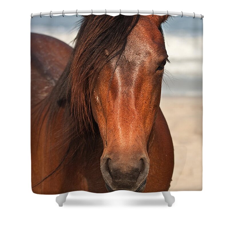 Owed To Nature Shower Curtain featuring the photograph Wild guardians of the beach by Sylvia J Zarco