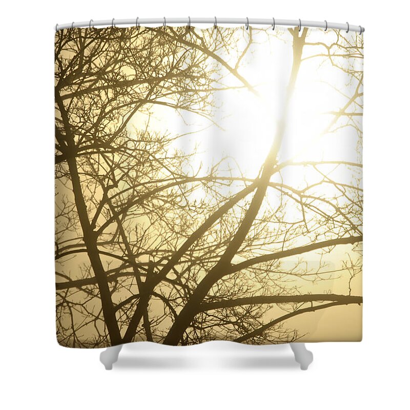 Buffalo Shower Curtain featuring the photograph 03 Foggy Sunday Sunrise by Michael Frank Jr