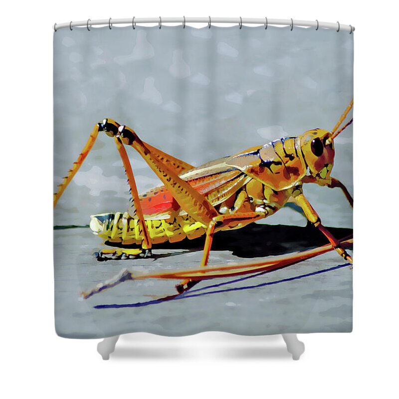 Lubber Grasshopper Shower Curtain featuring the digital art 15- Lubber Grasshopper by Joseph Keane