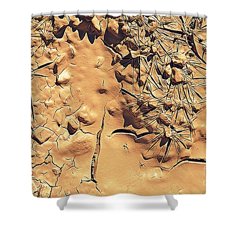 Abstract Shower Curtain featuring the photograph Abstract 4 #1 by Diane montana Jansson