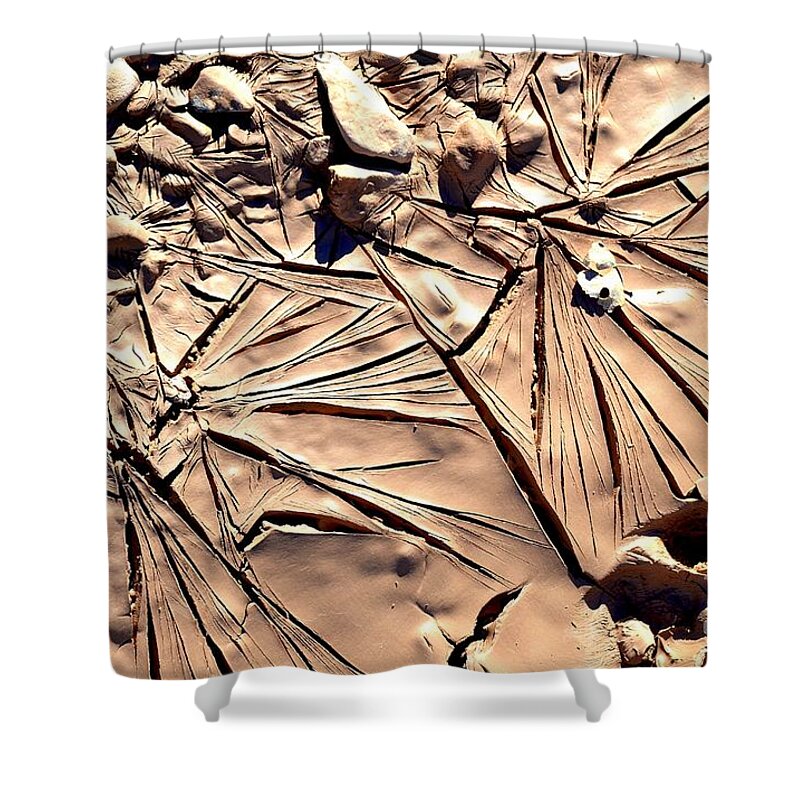 Abstract Shower Curtain featuring the photograph Abstract 6 #1 by Diane montana Jansson
