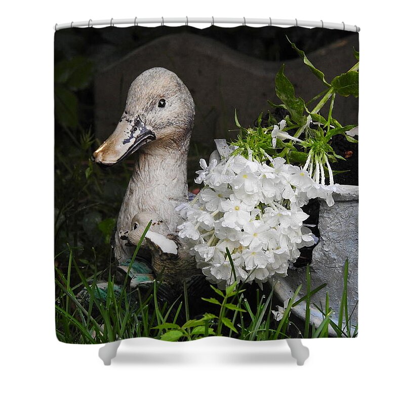 Lawn Shower Curtain featuring the photograph After the Rain #1 by Betty-Anne McDonald