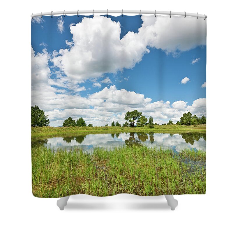Arizona Shower Curtain featuring the photograph Alfa Fia Tank #1 by Jeff Goulden