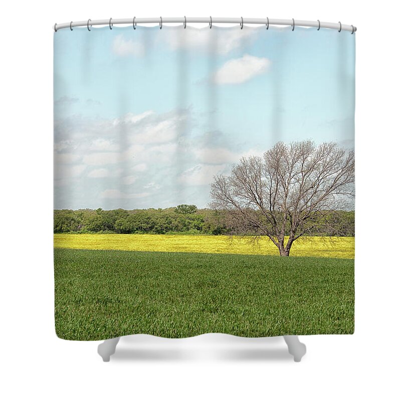 Oak Tree Shower Curtain featuring the photograph All Alone #2 by Victor Culpepper