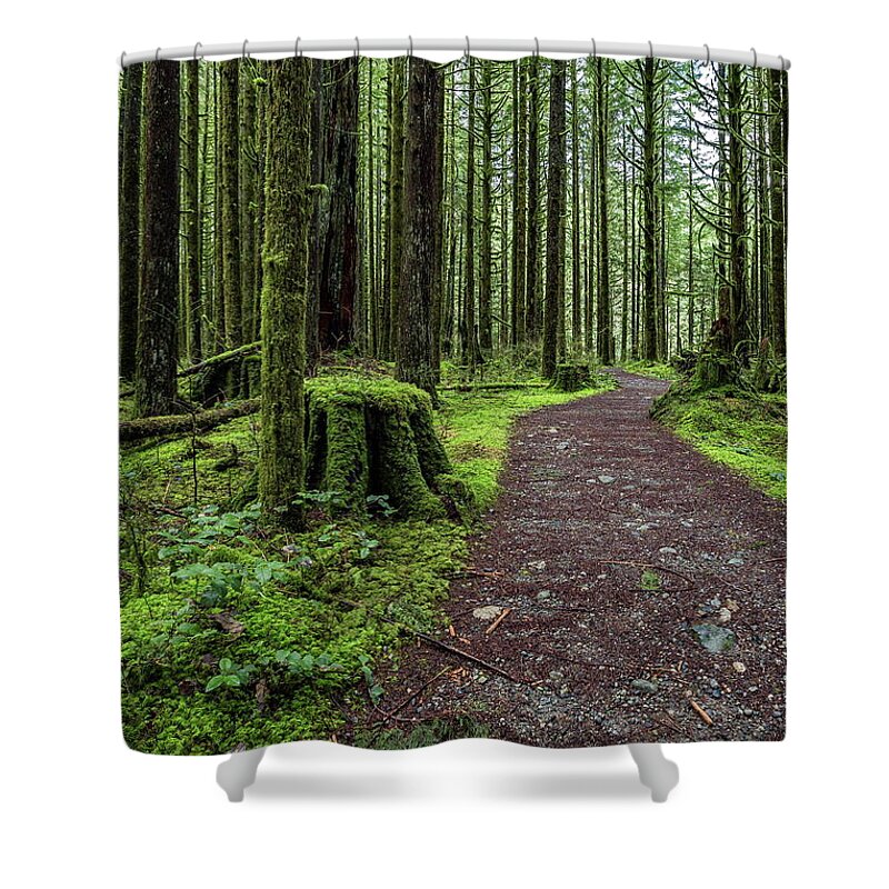 Alex Lyubar Shower Curtain featuring the photograph All covered with green moss magic forest by Alex Lyubar