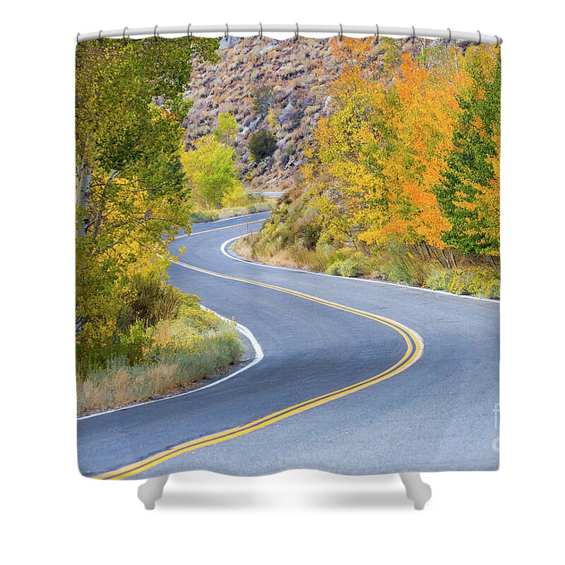 Eastern Sierra Shower Curtain featuring the photograph Along The June Lake Loop #1 by Mimi Ditchie