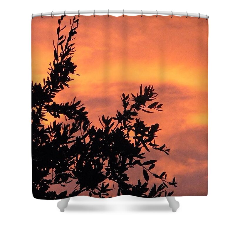 Beautiful Shower Curtain featuring the photograph Another #beautiful #sunrise In #1 by Austin Tuxedo Cat